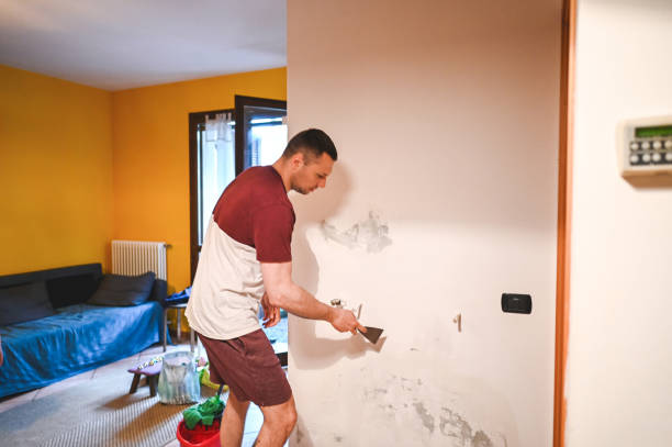 Best Fast Mold Removal  in Maize, KS